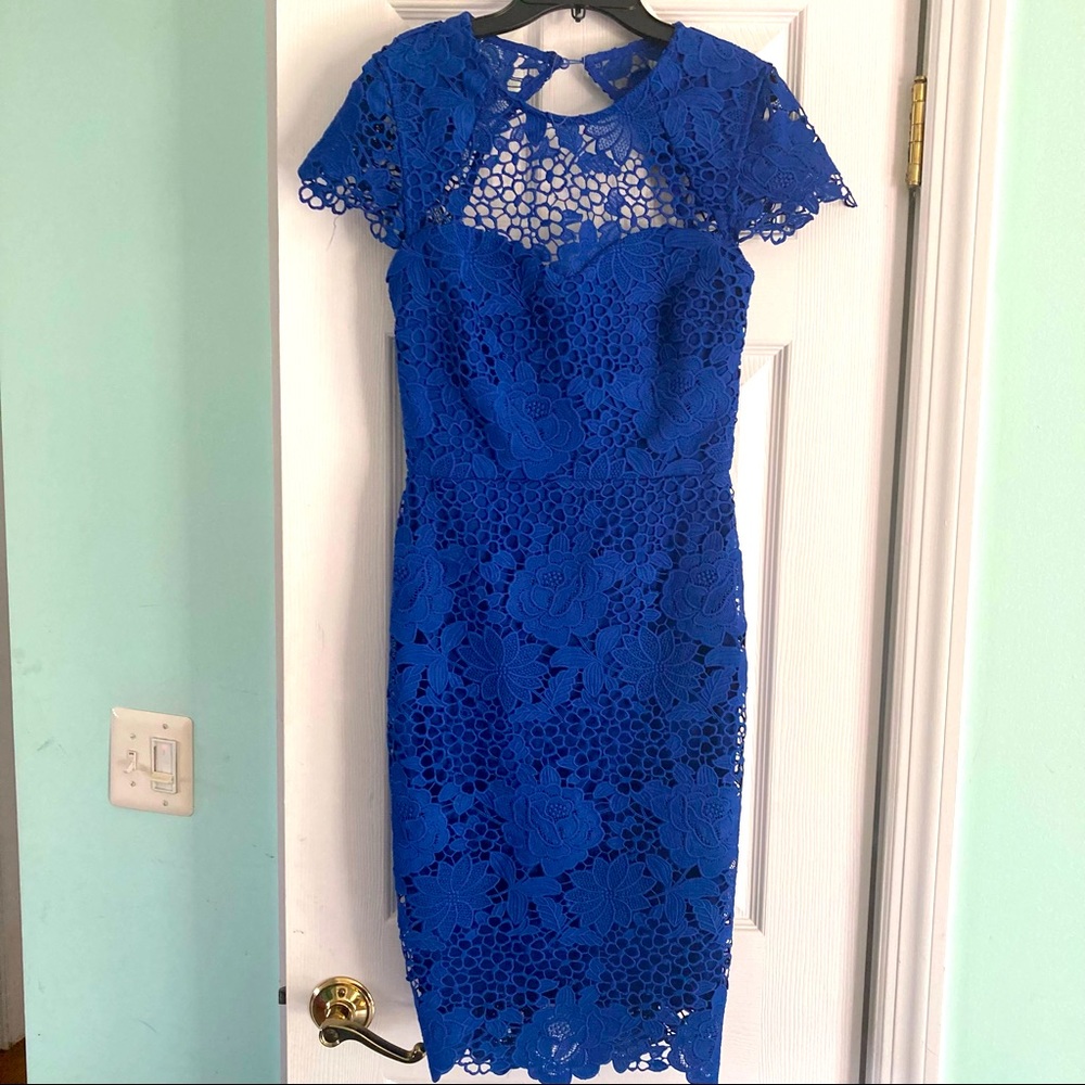 Paper Doll royal blue fitted lace dress